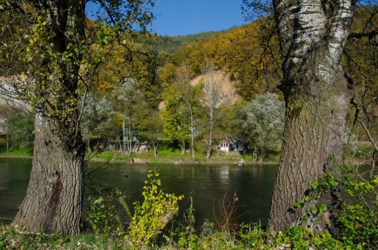 Трстеник у реки Западная Морава