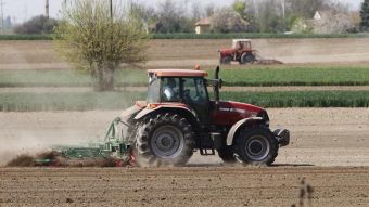 Работы в полях в Сербии