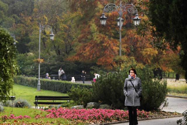 Осенний день в Дунайском парке в Нови-Саде