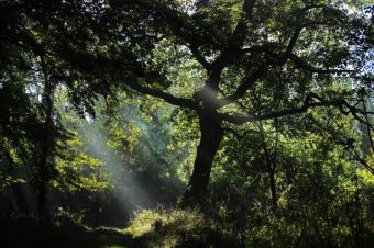 Природная красота сербской Воеводины