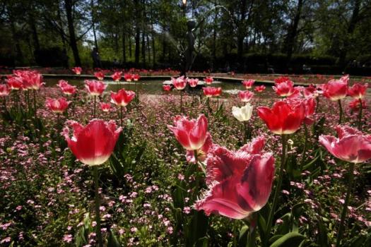 Солнечный весенний день в Нови-Саде
