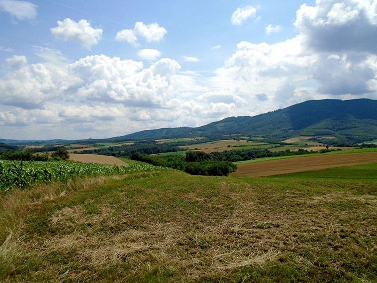 Горная местность Цер в Сербии