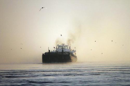 Утро в окрестностях Нови-Сада