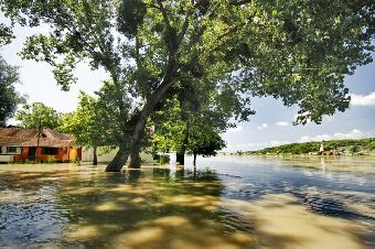 Затопление сербского поселка Бездан