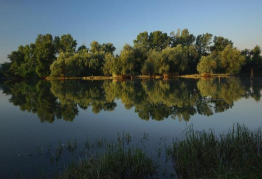 Утро в окрестностях Нови-Сада