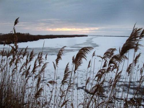 Озеро у города Банатски-Деспотовац