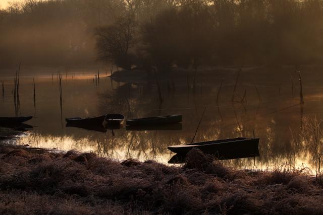 Декабрьское утро на Дунае в Воеводине