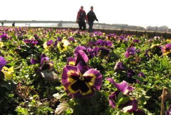 Солнечный день в сербском Нови-Саде