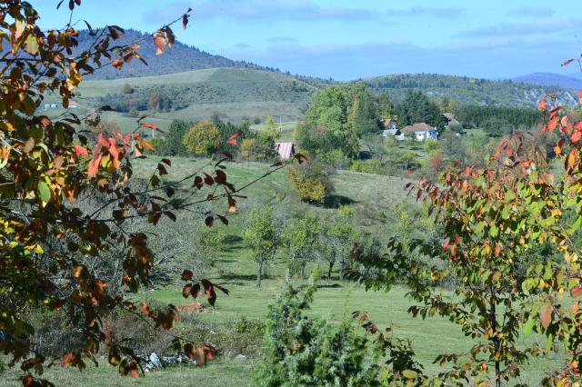 Солнечная осень на Златаре рядом с городком Нова-Варош