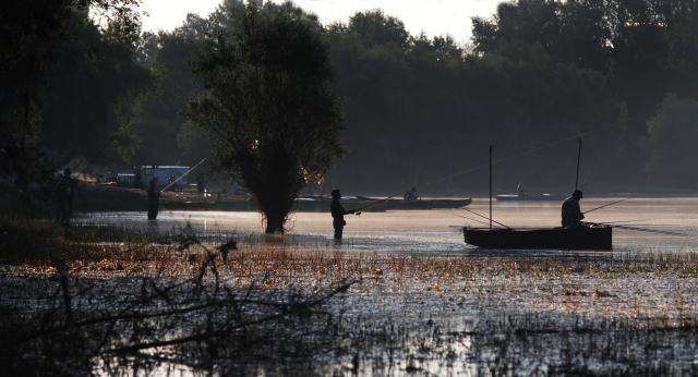 Рыбалка в окрестностях Нови-Сада