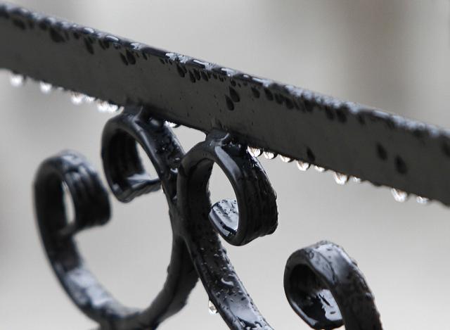 Дождливый день в Нови-Саде