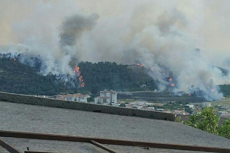 Пожар в Сутоморе в июле 2017 года