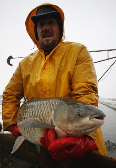 Рыбалка у сербских русинов 