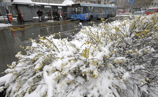Снегопад в Нови-Саде
