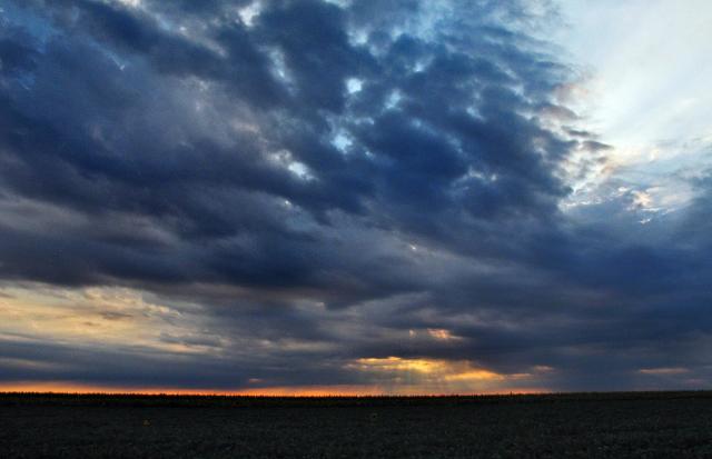 Поля в окрестностях сербского Сомбора