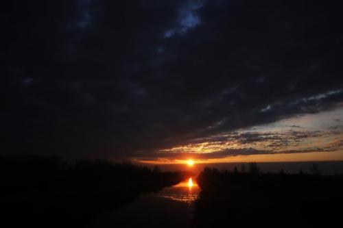 Рассвет в Нови-Саде