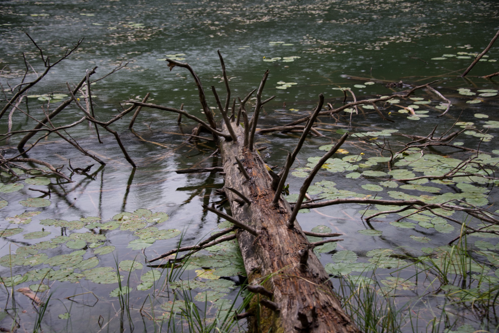 Змеиное озеро в национальном парке "Дурмитор"