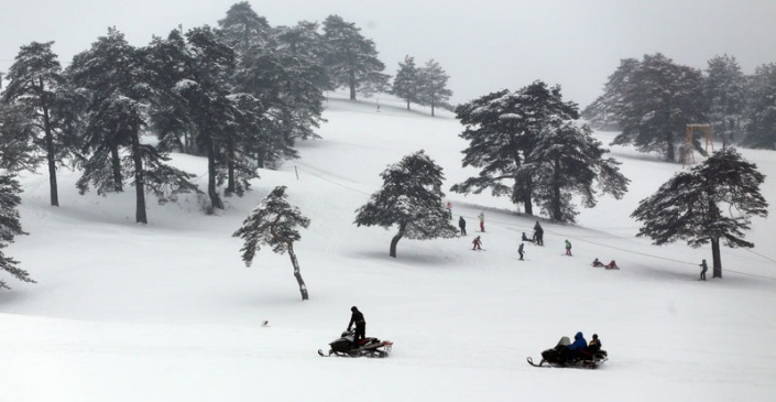 Снегопад на сербском Златиборе в январе 2016 г. 