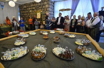 Фестиваль "Златар Фест" в городе Нова-Варош