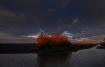 Зимнее утро в Сербии