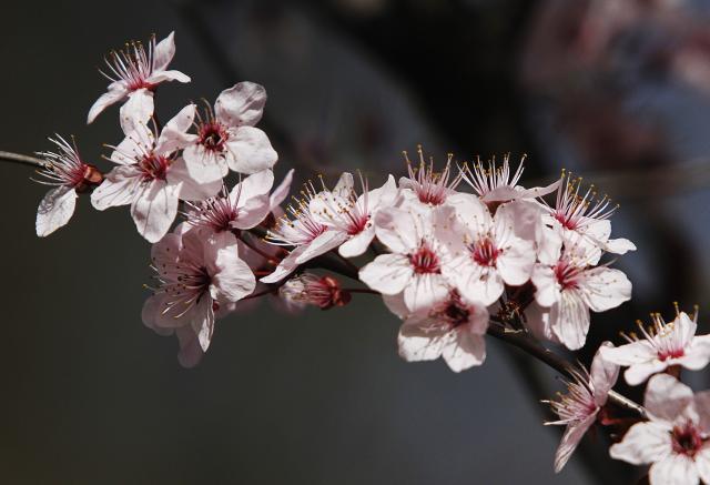 Солнечный день в Нови-Саде