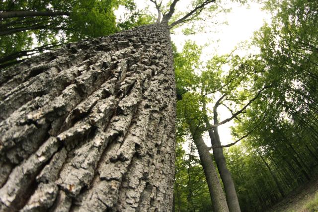 Природная красота сербской Воеводины