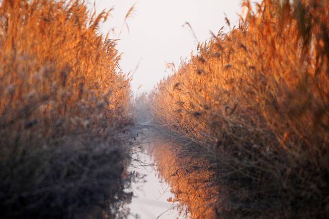 Канал Дунай - Тиса - Дунай вблизи Нови-Сада