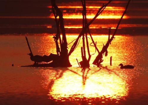 Заход солнца в окрестностях Нови-Сада