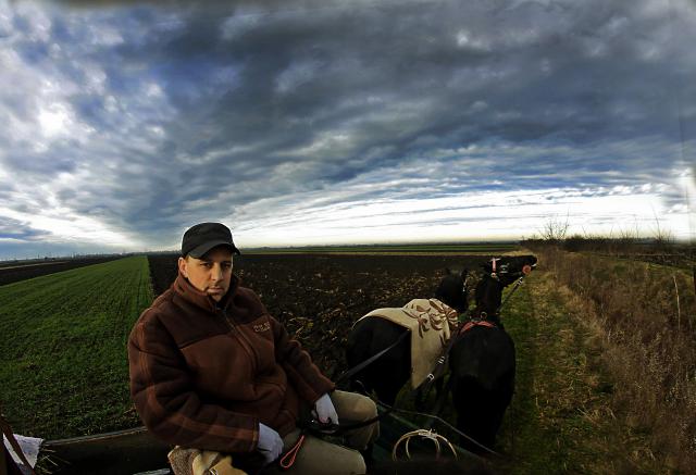 Декабрьское утро в Сомборе