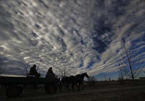 Декабрьское утро в Сомборе
