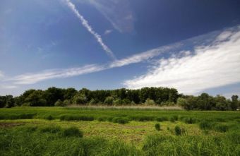 Заповедник Верхнее Подунавье в Сербии