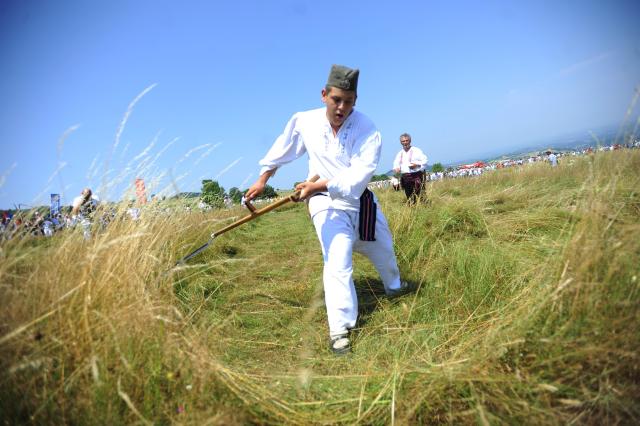 Косьба на сербской горе Раяц