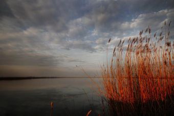 Мартовское солнечное утро в Сербии