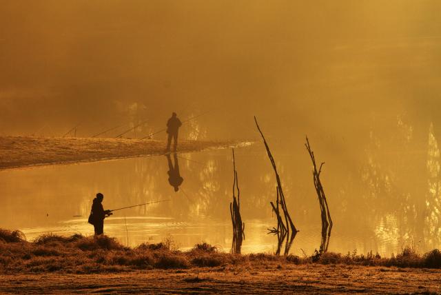 Декабрьское утро на Дунае в Воеводине