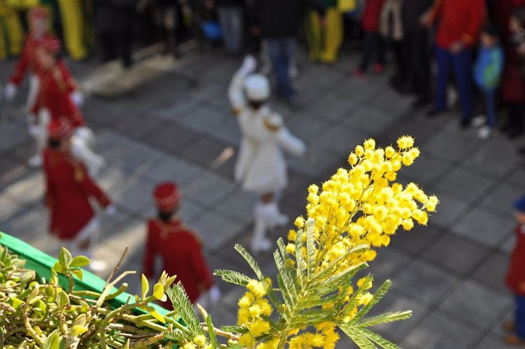 Праздник мимозы в Херцег-Нови. Фото: Bokanews.me