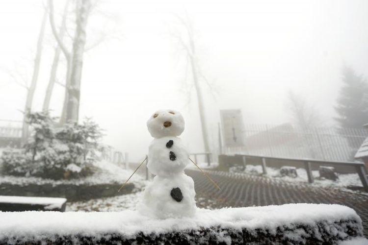 Первый снег на горе Медведница у Загреба в ноябре 2016 года