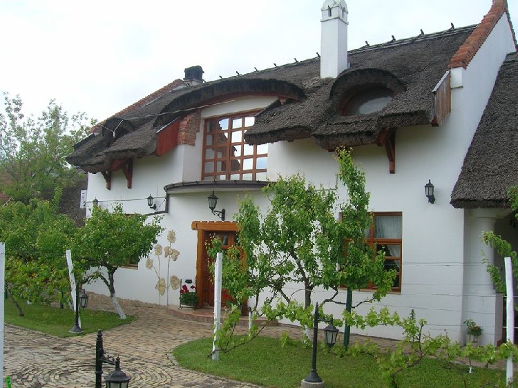 Этнодом "Буцин Салаш" в сербской Воеводине