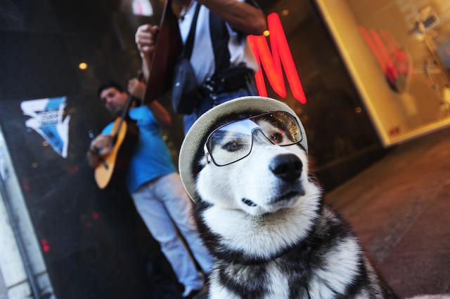 Уличные музыканты в Белграде