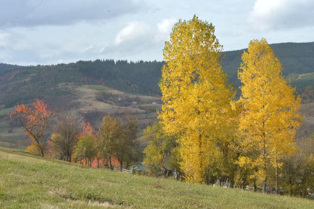 Бабье лето на сербской горе Златар