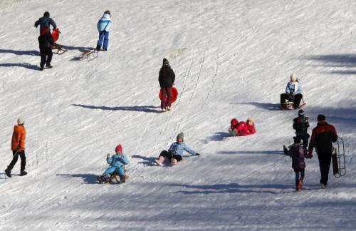 Январский день в сербском национальном парке "Фрушка-Гора"