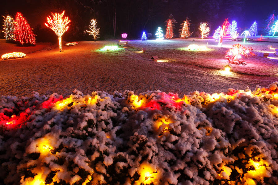 Рождественский парк в семейном отеле Салай в Грабовнице