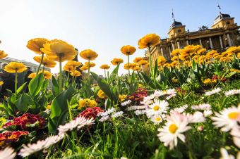 Весенний день в Загребе