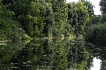 Большой Бачский канал в сербской Воеводине