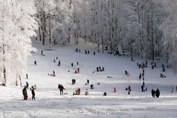 Первые зимние забавы на горе Слеме у Загреба