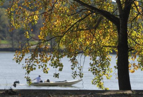 Бабье лето в Нови-Саде