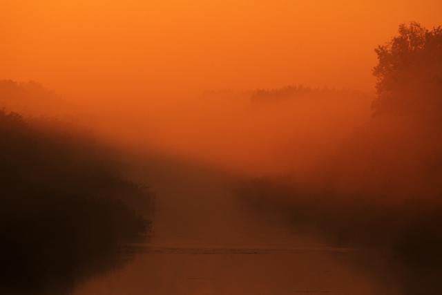 Октябрьское туманное утро в окрестностях Нови-Сада