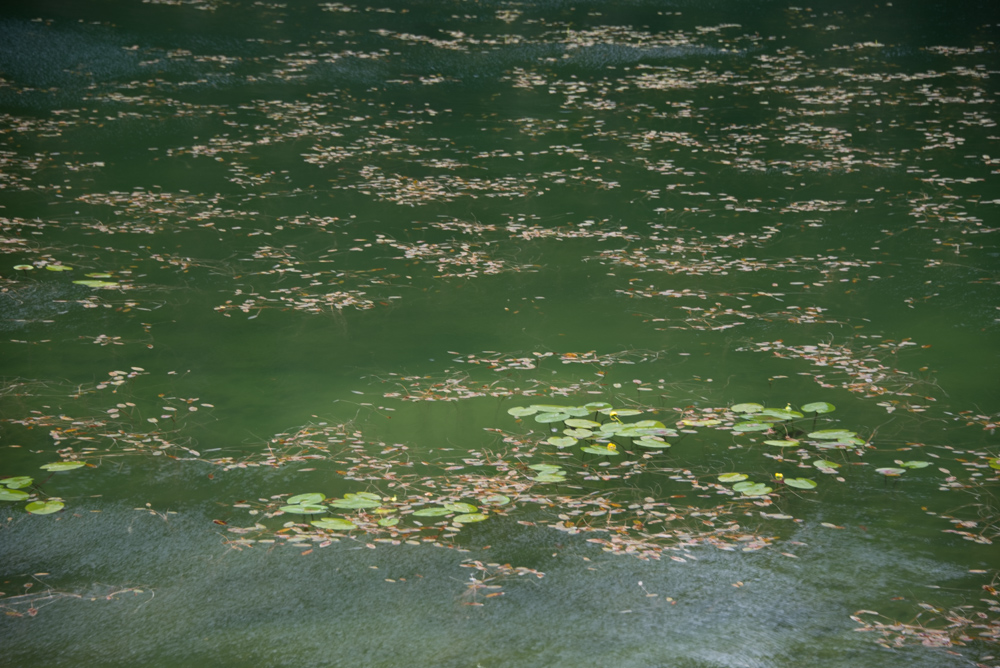 Змеиное озеро в национальном парке "Дурмитор"