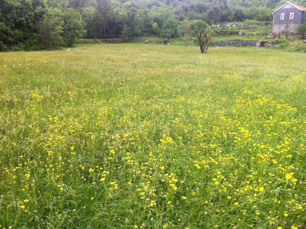 Майский день в черногорском селе Бандичи