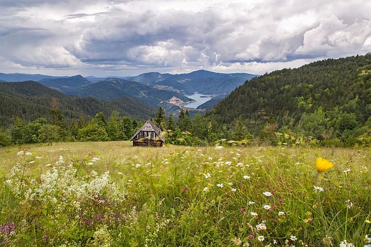 Национальный парк "Тара" в июле 2016 года 