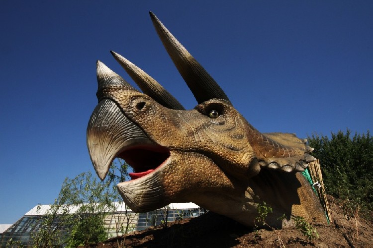 Парк динозавров в сербском Нови-Саде